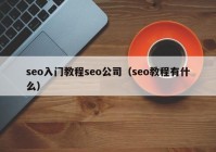 seo入门教程seo公司（seo教程有什么）