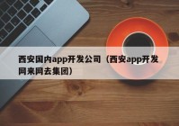 西安国内app开发公司（西安app开发 网来网去集团）