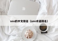 seo的中文排名（seo术语排名）