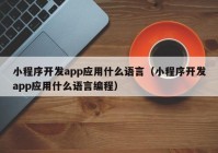 小程序开发app应用什么语言（小程序开发app应用什么语言编程）