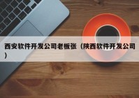 西安软件开发公司老板张（陕西软件开发公司）