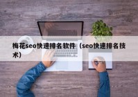 梅花seo快速排名软件（seo快速排名技术）