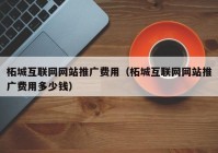 柘城互联网网站推广费用（柘城互联网网站推广费用多少钱）