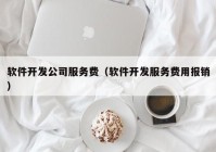 软件开发公司服务费（软件开发服务费用报销）