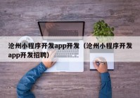 沧州小程序开发app开发（沧州小程序开发app开发招聘）