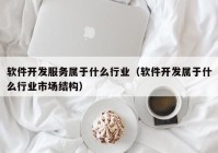 软件开发服务属于什么行业（软件开发属于什么行业市场结构）