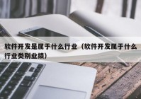 软件开发是属于什么行业（软件开发属于什么行业类别业绩）