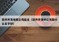 软件开发有限公司起名（软件开发的公司取什么名字好）