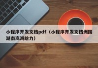 小程序开发文档pdf（小程序开发文档洲围湖南岚鸿给力）