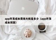 app开发成本费用大概是多少（app开发成本预算）