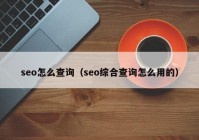 seo怎么查询（seo综合查询怎么用的）