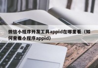 微信小程序开发工具appid在哪里看（如何查看小程序appid）